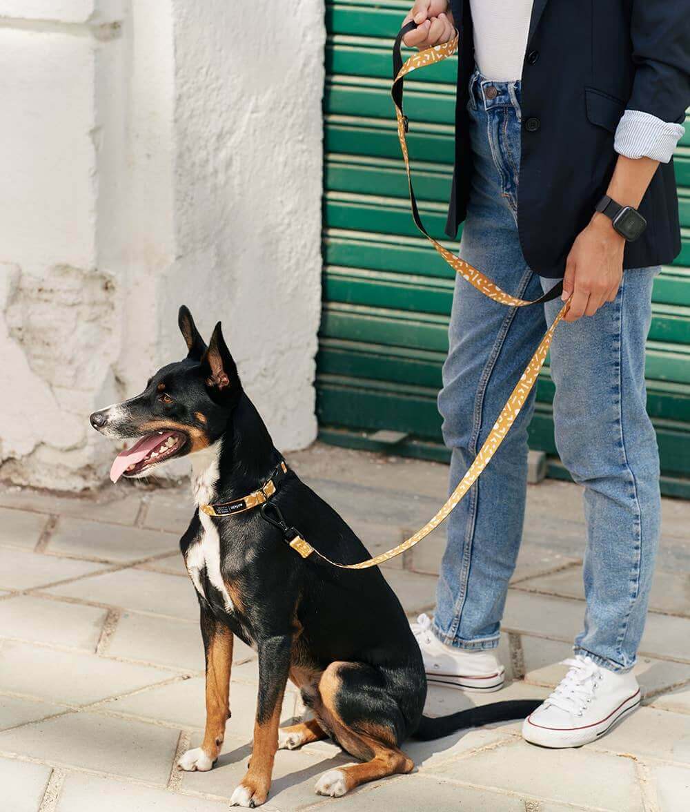 Juno Riem | Mustard