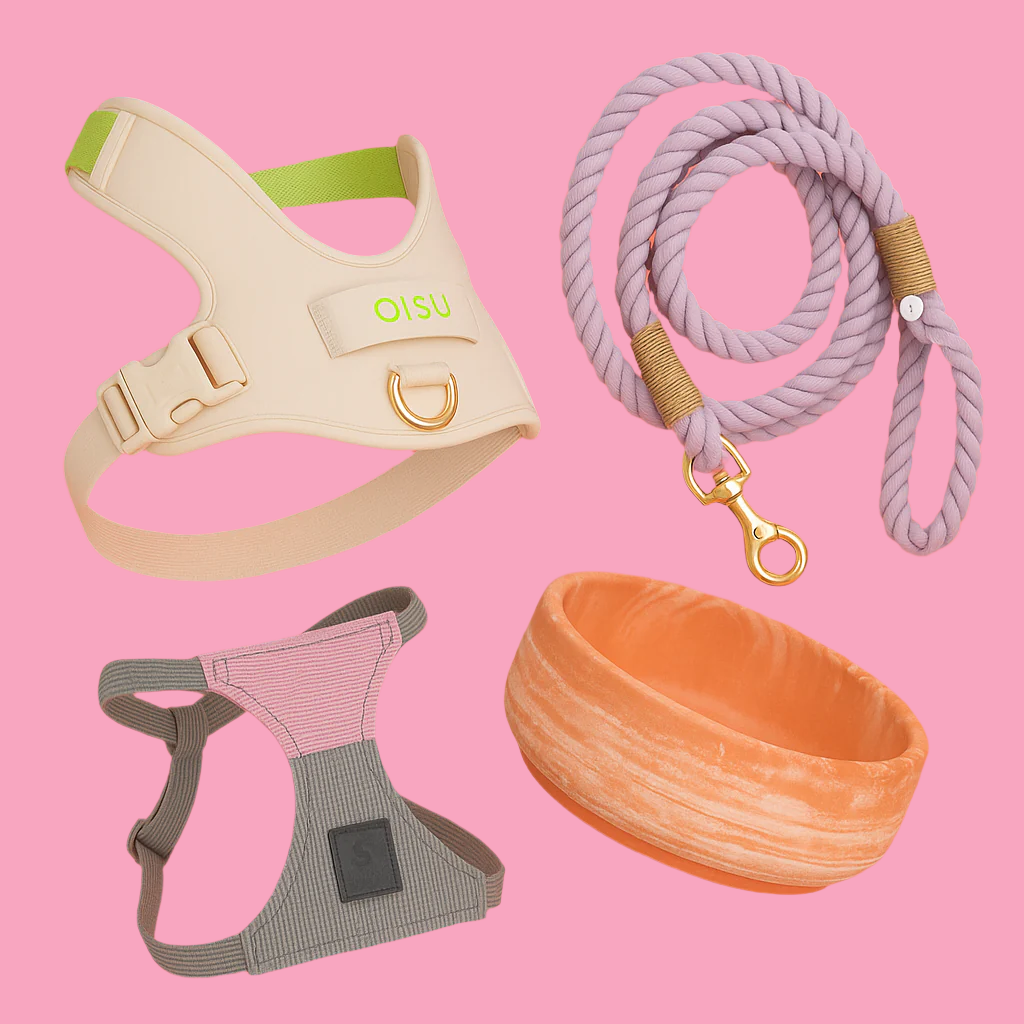 Dog harness, leash, and bowl set on a coral background