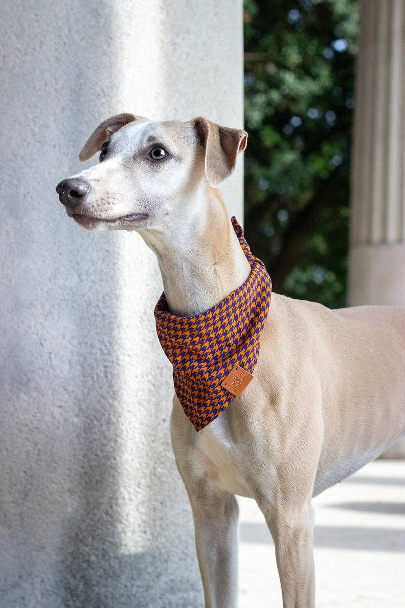 Windsor-bandana