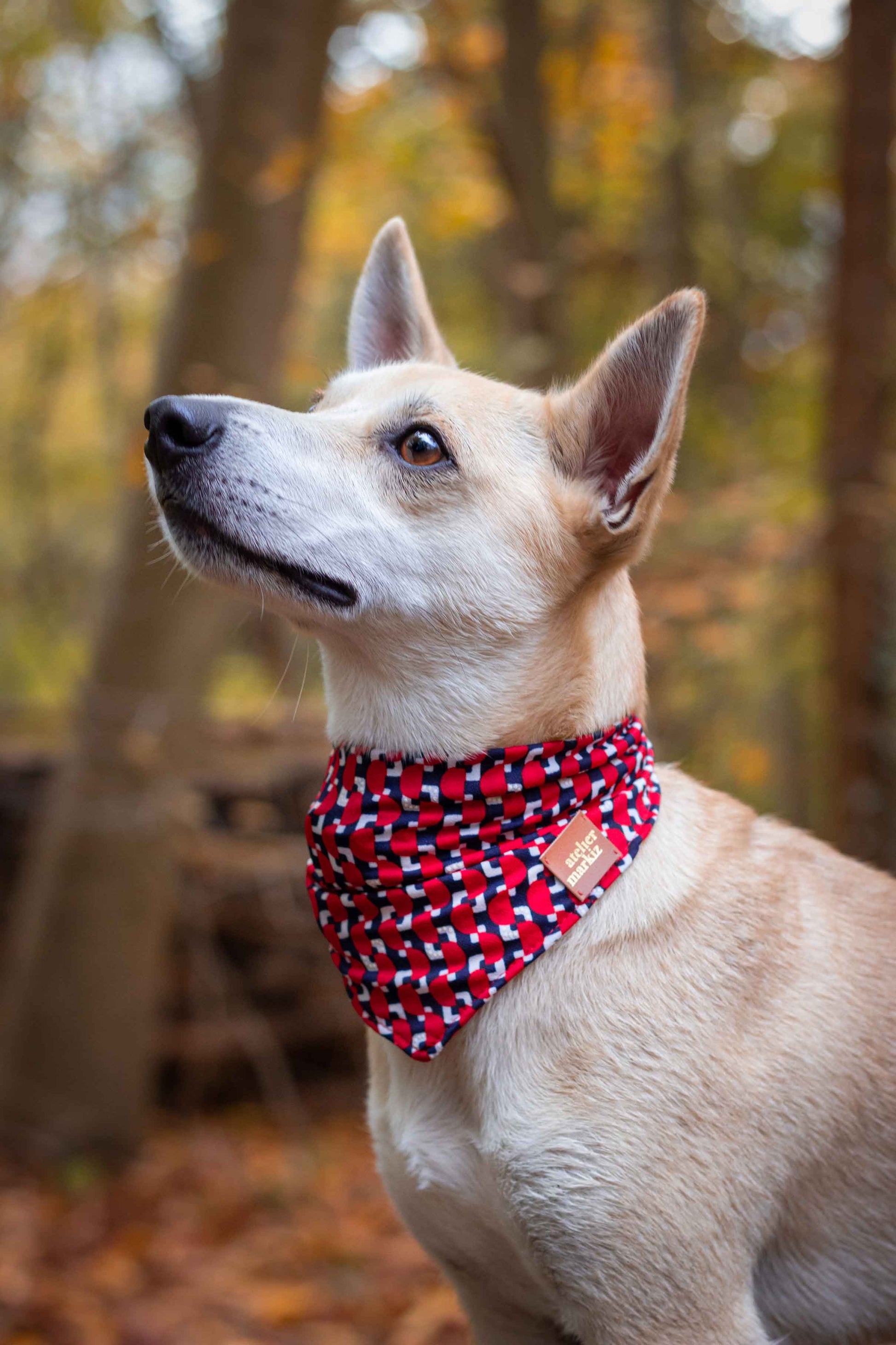 Bandana uit Memphis