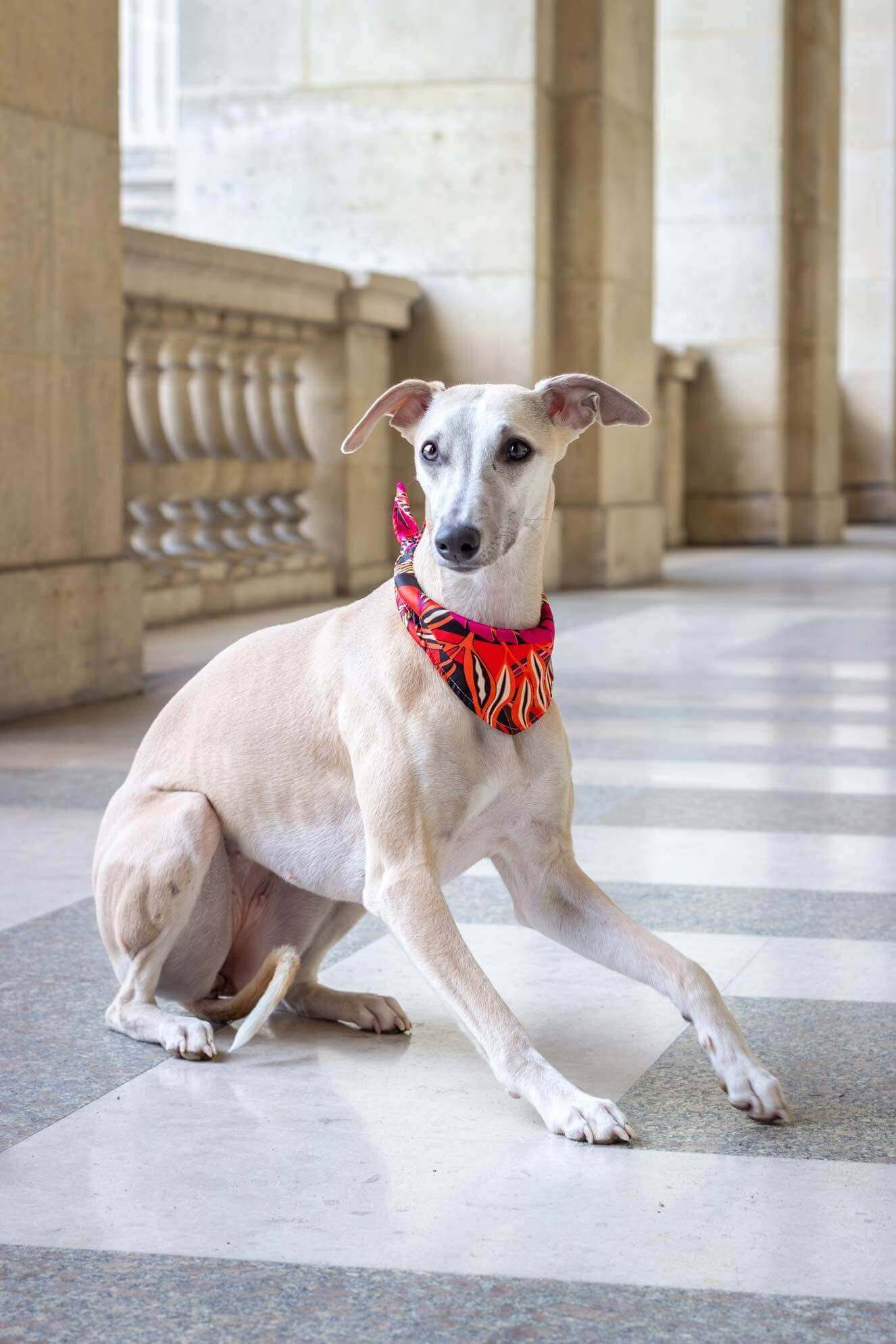 Java-bandana