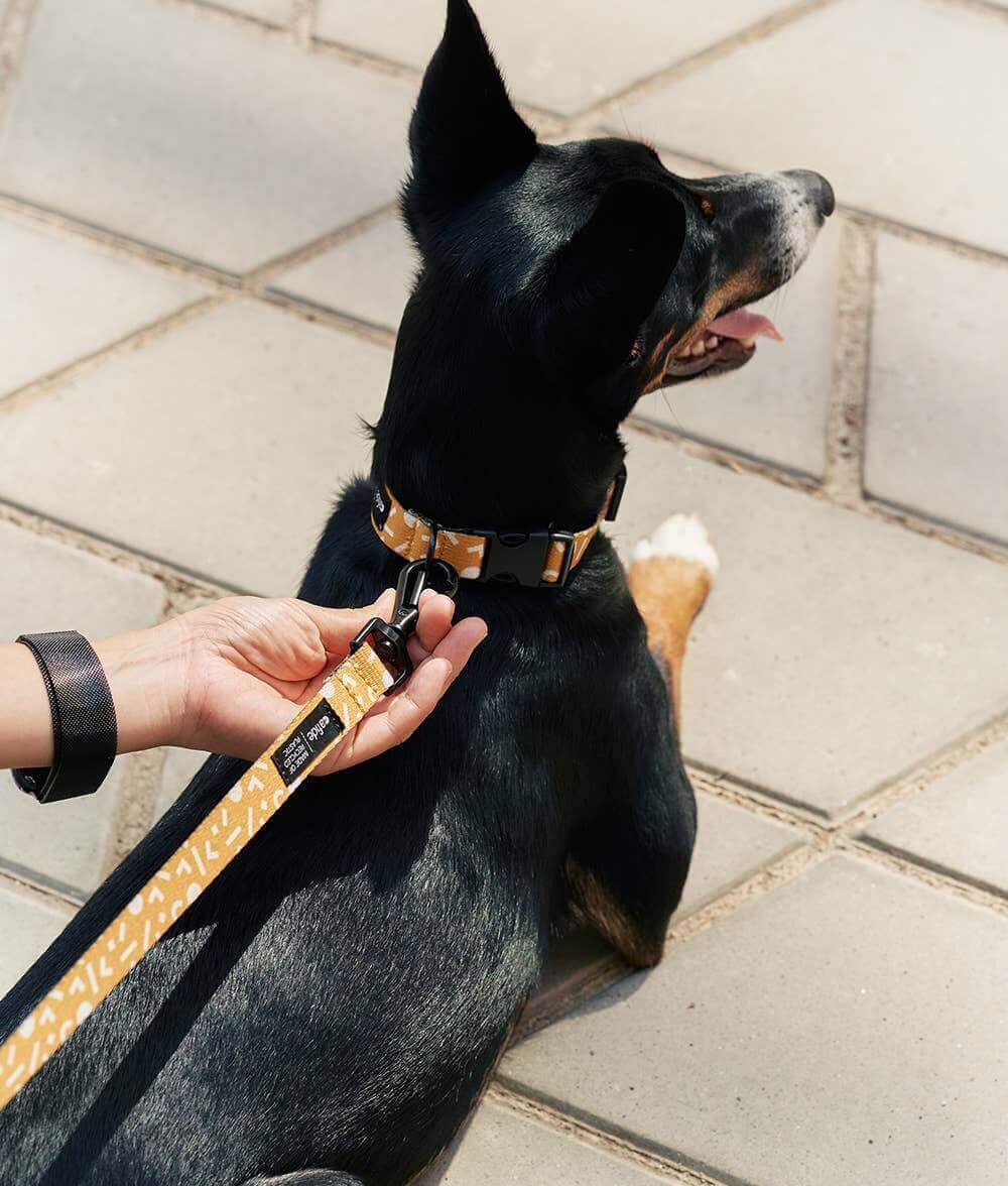 Juno Riem | Mustard
