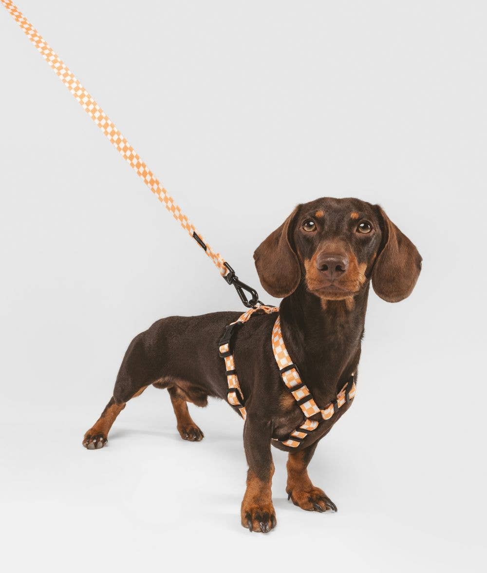 Juno Riem | Peach