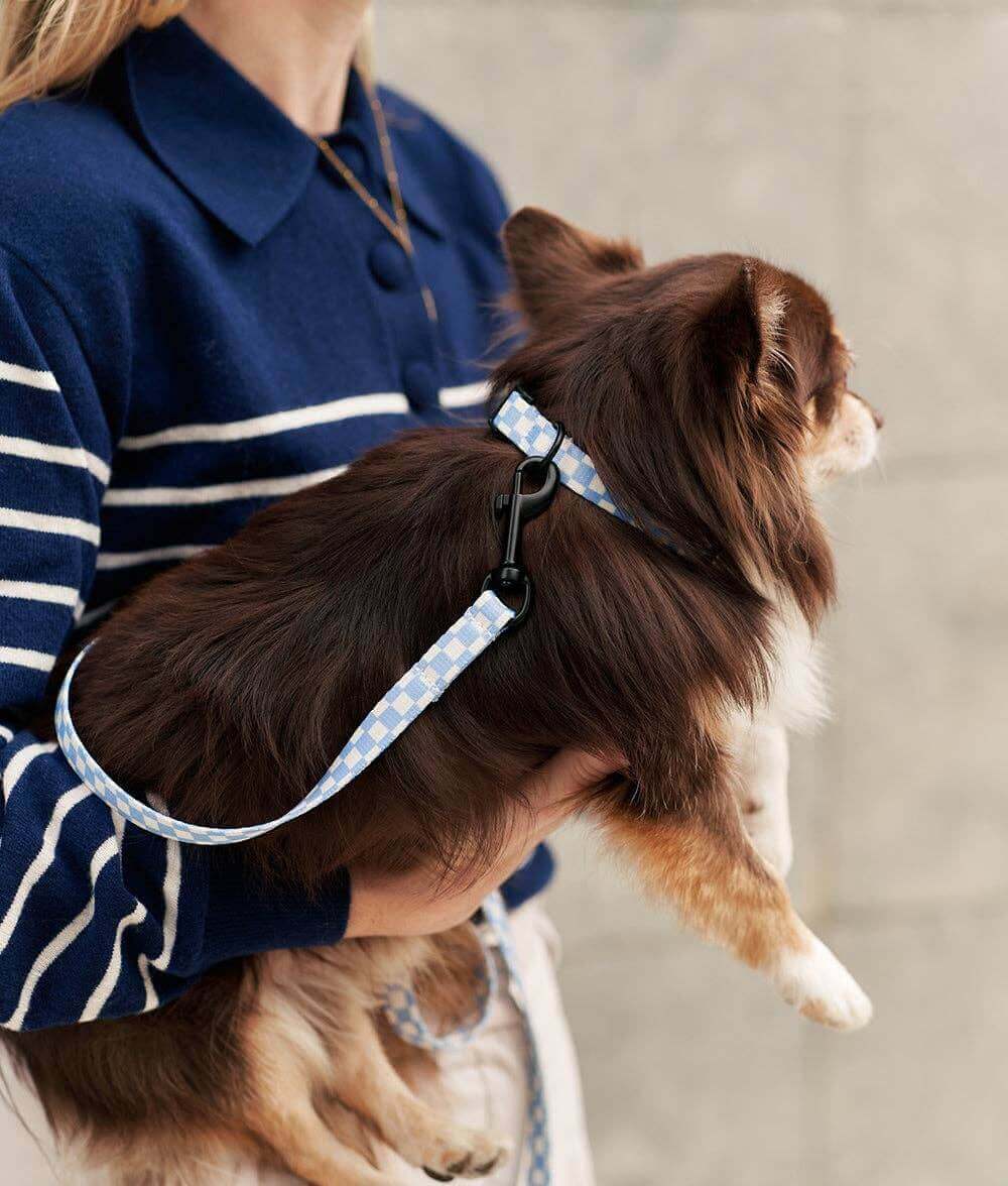 Juno Riem | Blue