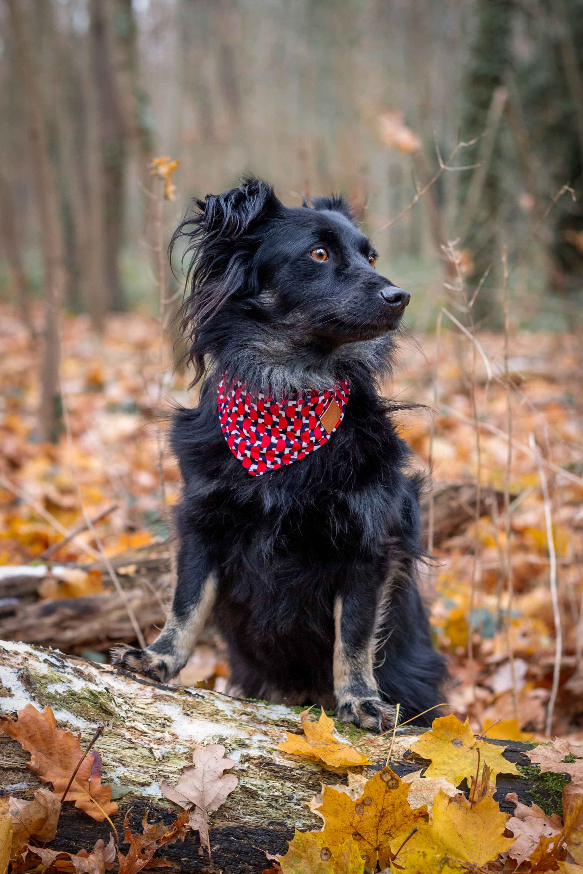 Bandana uit Memphis