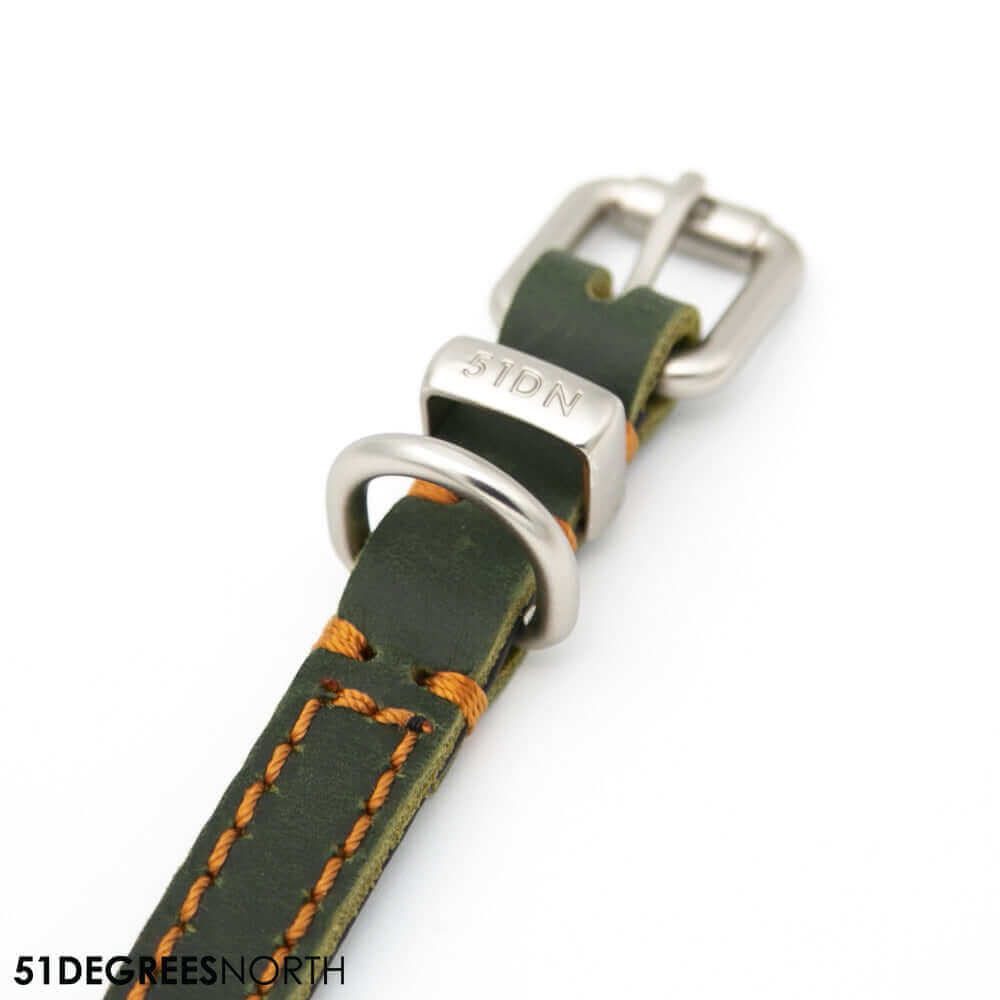 Close-up van een lederen hondenhalsband met gesp-sluiting en contrasterende stiksels.