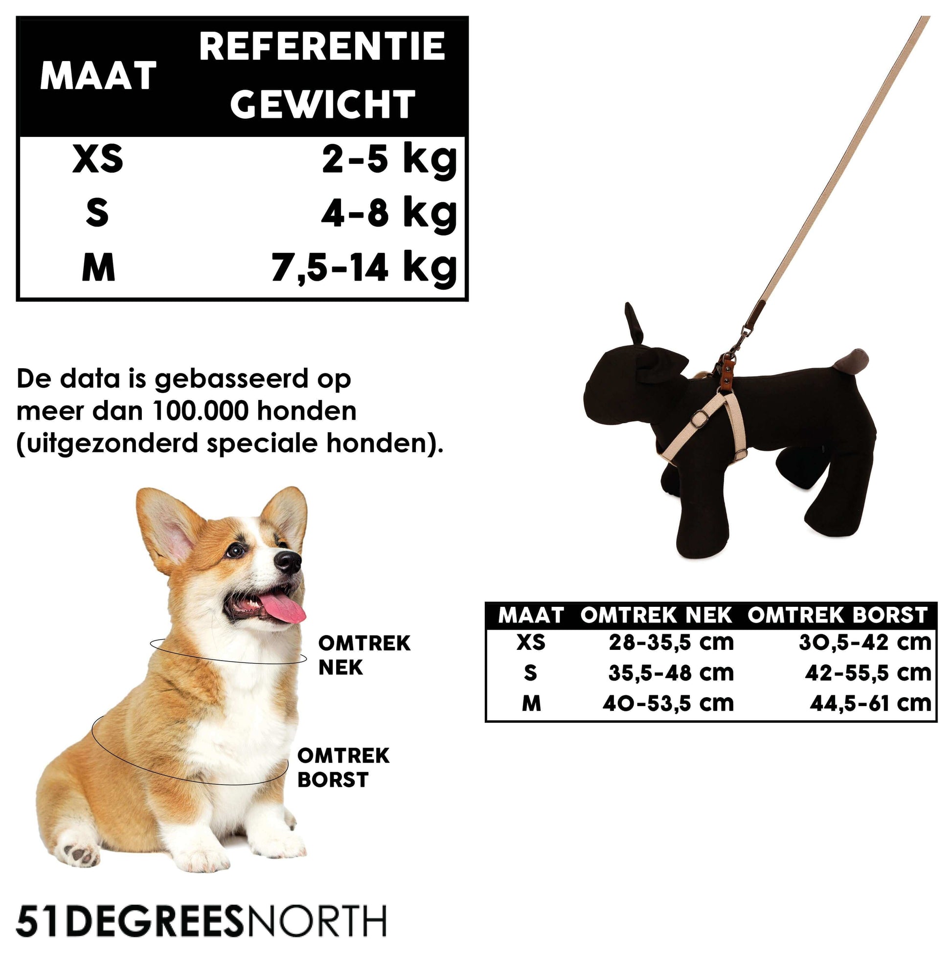 51 DN - Milano Puppytuigje, hond met leiband en hond met leiband op corduroystof, verstelbare riemen.