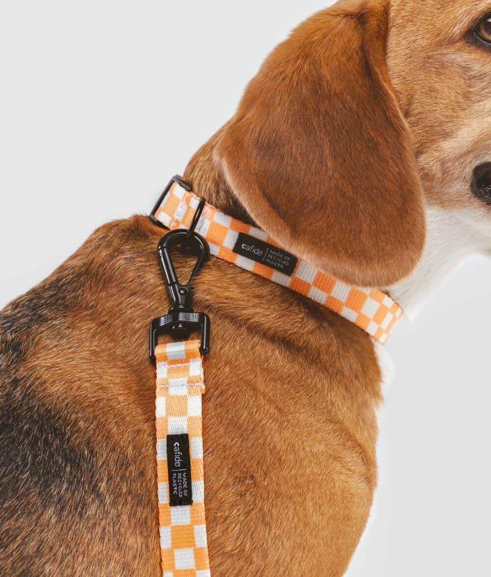 Juno Riem | Peach