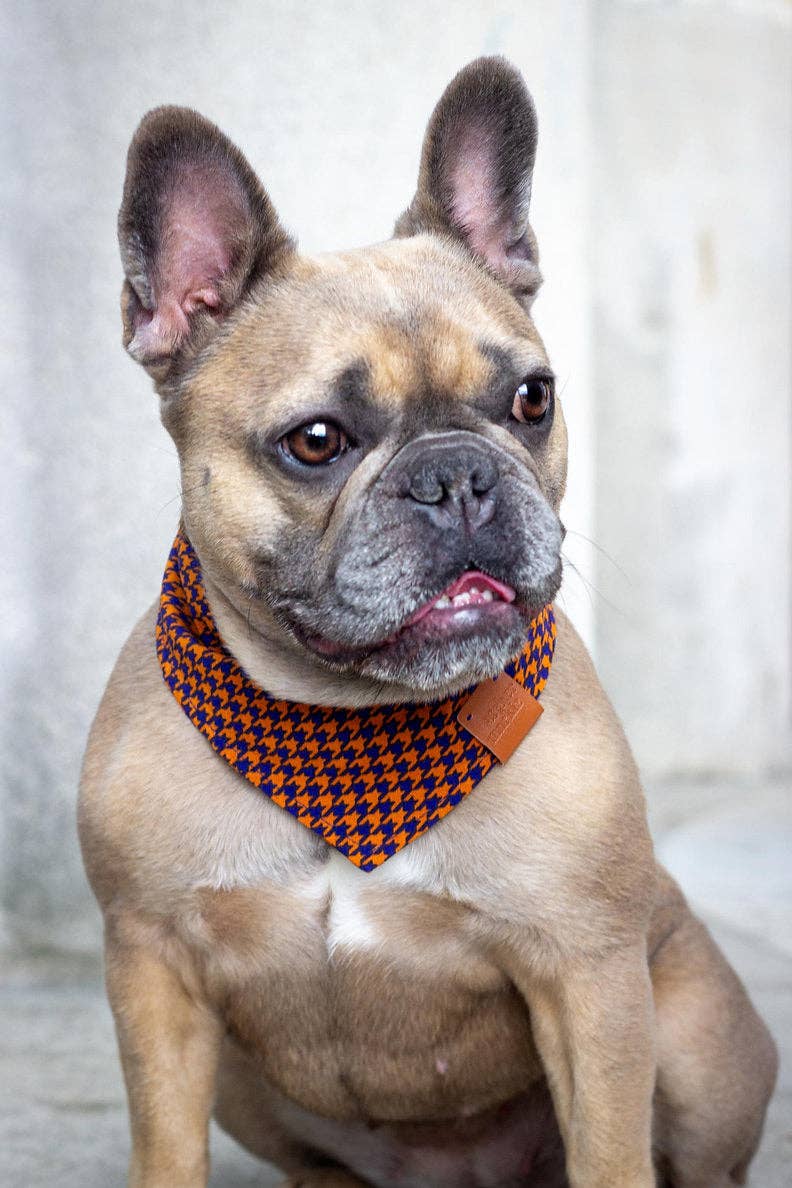 Windsor-bandana