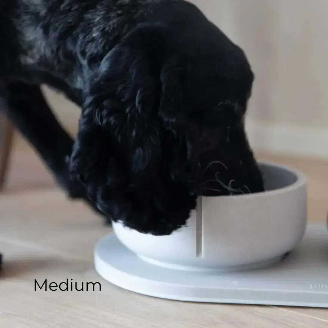 Slow Feeder Bowl Dolphin Grey