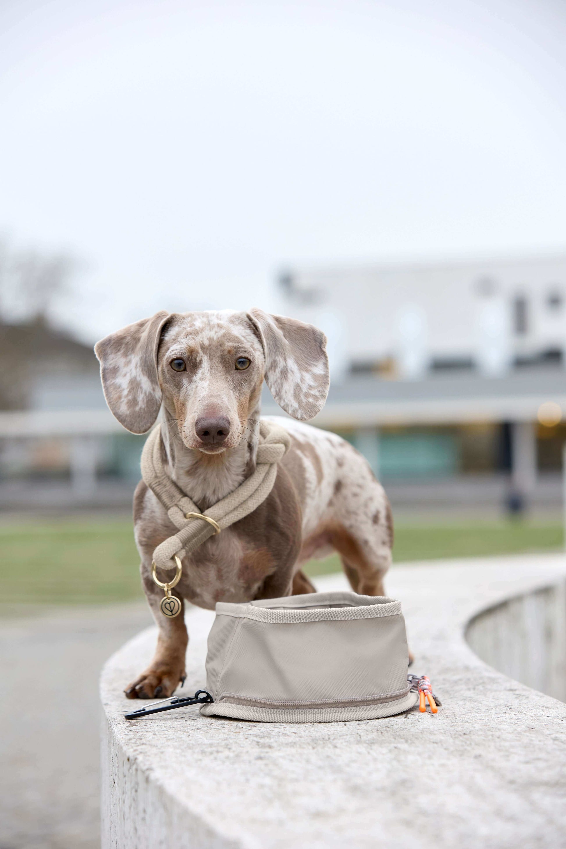 Honden Reiskom Tura - Taupe