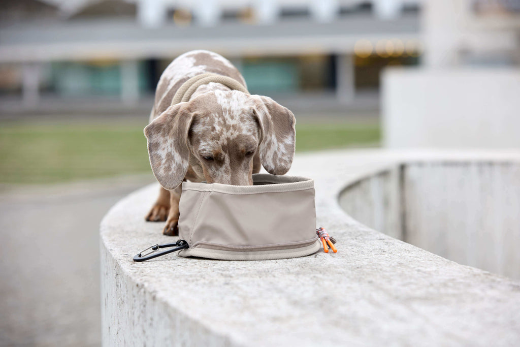 Honden Reiskom Tura - Taupe