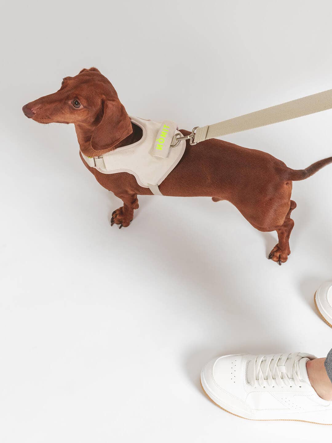 Hondenriem | Hug Leash Nature