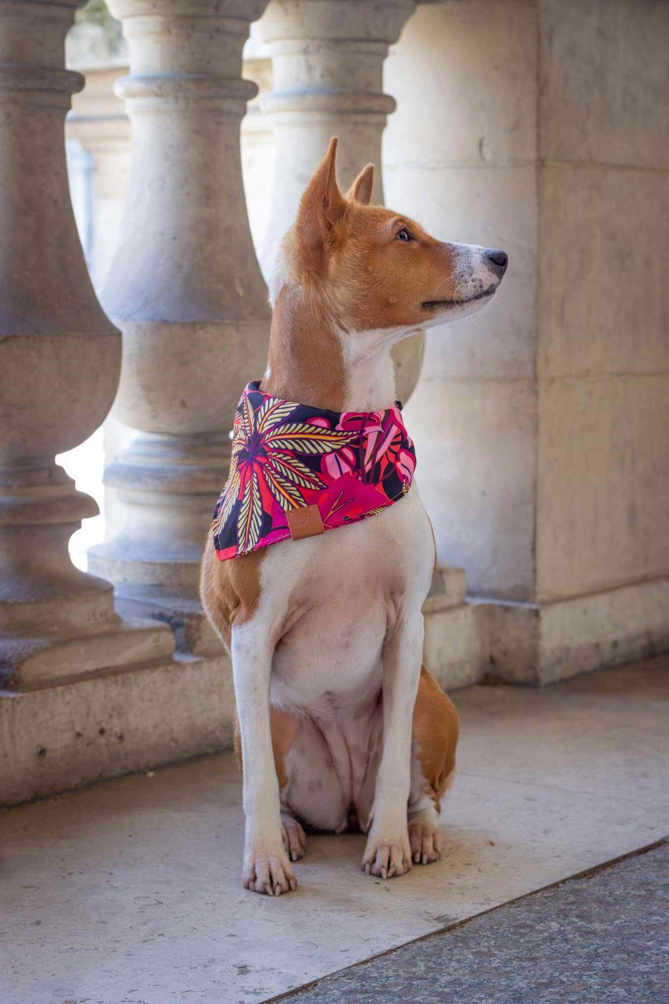 Java-bandana