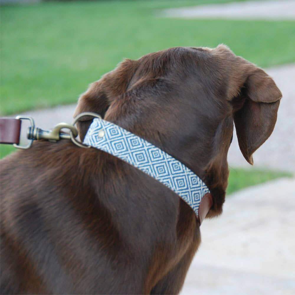 Dalton Halsband van Leer en Stof