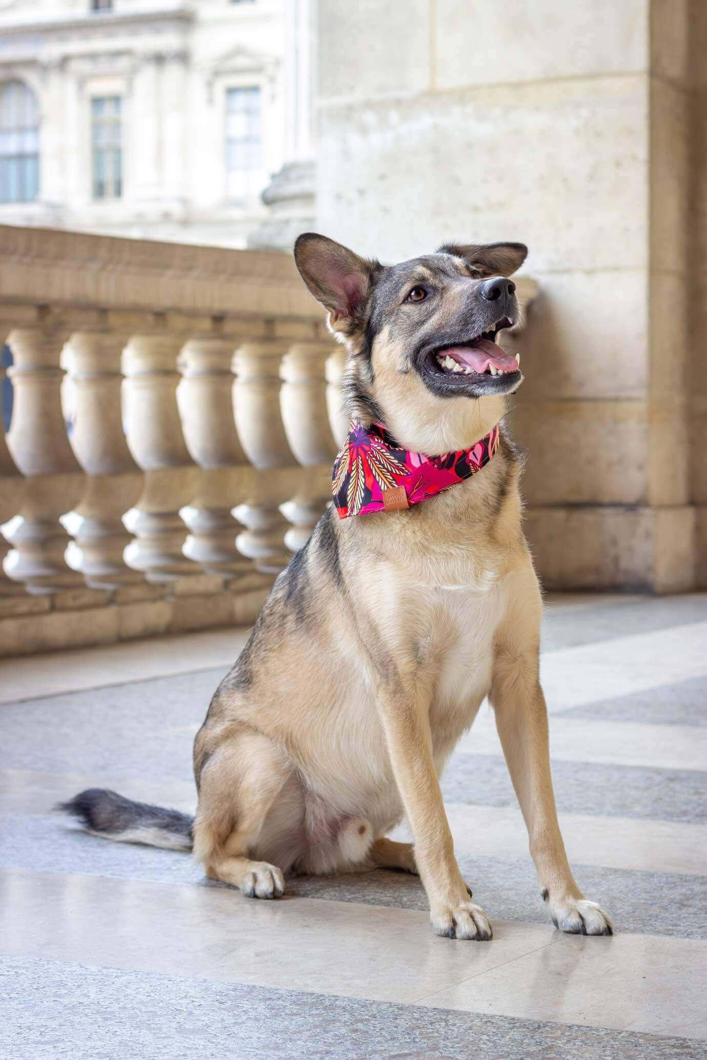 Java-bandana