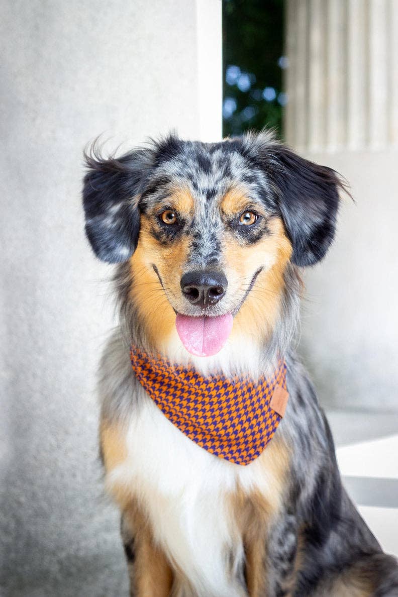Windsor-bandana