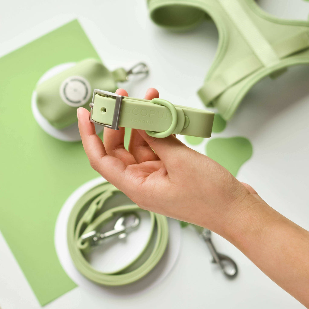 Een hand houdt een groene halsband vast voor kleine honden, met D-ringbevestiging en kunststof gesp.
